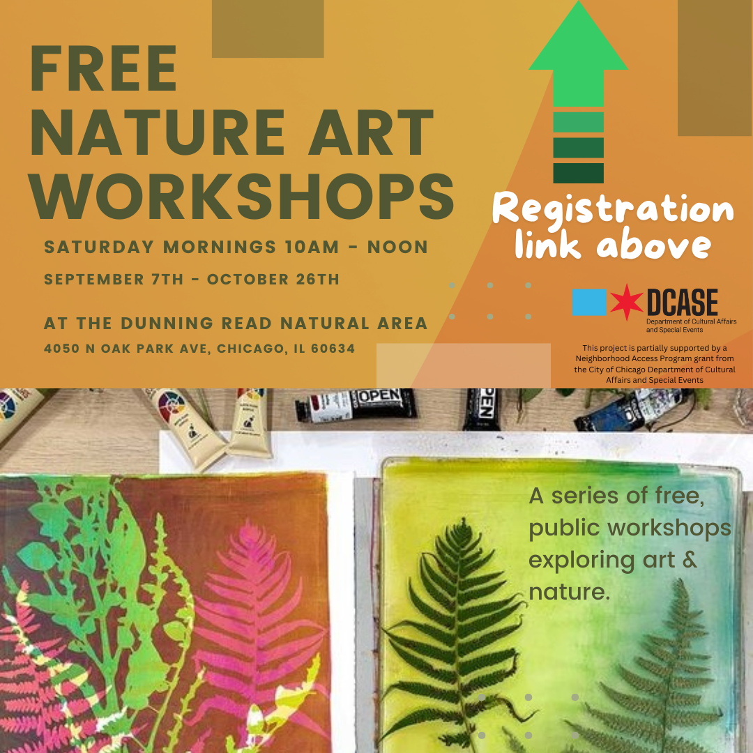 Flyer for a series of free, public workshops exploring art & nature on Saturday mornings from 10AM - noon,  September 7th through October 26, 2024.